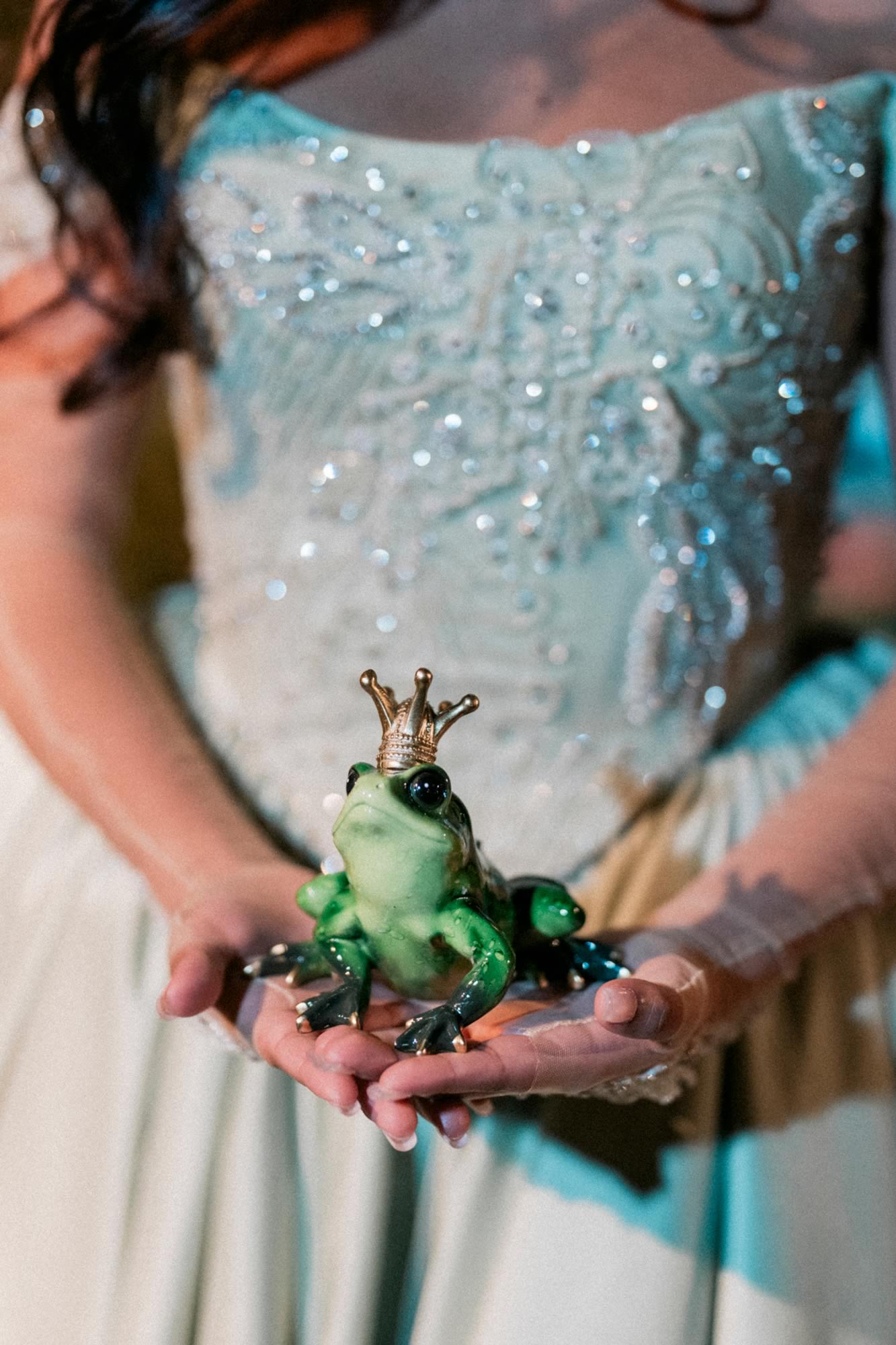 princess and the frog quinceaera dress Tiana Adult Gowns - Princess and the Frog Inspired - Disney Princess -  Princess Ballgown